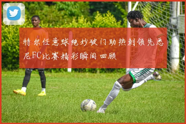 特尔任意球绝妙破门助热刺领先悉尼FC比赛精彩瞬间回顾