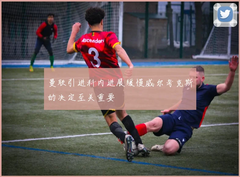 曼联引进科内进展缓慢威尔考克斯的决定至关重要